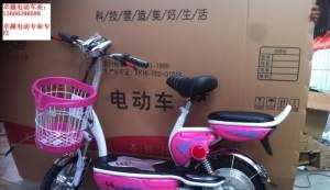全新精品電動車廠家讓利低價批發銷售700